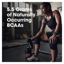 Cargar imagen en el visor de la galería, Proteína 100% WHEY, Gold Standard, 4.37 libras (chocolate), 4.23 Libras (Vainilla)