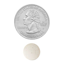 Cargar imagen en el visor de la galería, Vitamina C, 500 mg, Spring Valley, Presentaciones de: 500, 250, y 100 tabletas