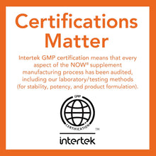 Cargar imagen en el visor de la galería, Inulina en polvo Prebiotico, Now, Varios tamaños disponibles