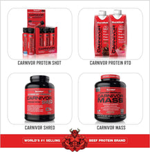 Cargar imagen en el visor de la galería, CARNIVOR Proteína de Res, Construcción Muscular, Recuperación, Libre de Lactosa, Sin Azúcar, Sin Grasa, 23g de Proteína, Certificado Halal, Chocolate, 56 servicios