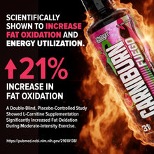 Cargar imagen en el visor de la galería, CARNIBURN FUEGO: Líquida L Carnitine 3000mg, Nutrex Quemador de grasa líquida termogénico para hombres y mujeres con MitoBurn, InnoSlim, GBBGO - Potenciador de metabolismo sin estimulantes - Fresa Sandía, 31 servicios