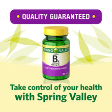 Cargar imagen en el visor de la galería, Vitamina B-6, 100 mg. Spring Valley. 250 tabletas