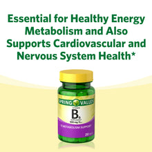 Cargar imagen en el visor de la galería, Vitamina B-6, 100 mg. Spring Valley. 250 tabletas