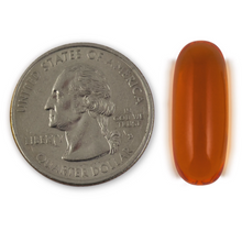 Cargar imagen en el visor de la galería, Puro Omega 3 de aceite de salmón salvaje de Alaska, 1000 mg, 180 softgels

