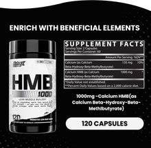 Cargar imagen en el visor de la galería, HMB 1000, Nutrex, Apoya la recuperación muscular, reducir el daño muscular esquelético, aumento de la fuerza, previene la pérdida muscular | 120 cápsulas
