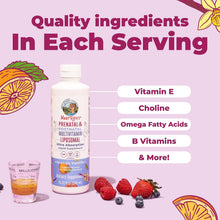 Cargar imagen en el visor de la galería, Multivitamínico Liposomal Líquido Prenatal y Postnatal MaryRuth’s – 15.22 oz (450 ml) | Apoyo Nutricional Antes, Durante y Después del Embarazo
