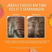 Cargar imagen en el visor de la galería, MaryRuth Multivitamínico Líquido + Crecimiento Capilar | Biotina 10,000 mcg | Suplemento para el Crecimiento del Cabello Lustriva | Clínicamente probado cabello más grueso y contra las arrugas faciales | Cuidado de la piel | 15.22 onzas (450 ml)
