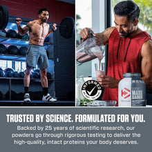 Cargar imagen en el visor de la galería, Dymatize Super Mass Gainer Proteína en polvo, Vainilla gourmet, 52g de proteína, 1g de creatina, 1280 calorías, 10.7g de BCAA, 245g de carbohidratos, contiene proteína de suero, aislado y caseína, 12 libras
