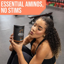 Cargar imagen en el visor de la galería, Aminoácidos esenciales + electrolitos, Rule 1 Proteins Essential Amino 9, Apoyo de recuperación e hidratación, dos sabores diferentes, 30 servicios
